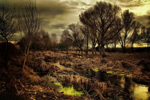 Photograph Solofoto Canon  Riachuelo on One Eyeland